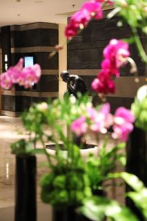 Renaissance Beijing Capital Hotel - Peking - 3