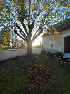 Coup de cœur en Brenne Chambre et table d hôte - Martizay - 1