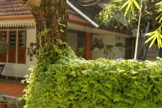 Mi Casa Tu Casa Homestay - Kochi - 1