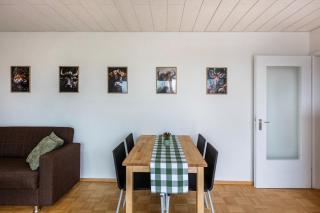 Ferienwohnung Schwarzwaldblick - Weil am Rhein - 9