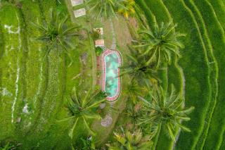 Pesona Bali Ecolodge by AGATA - Jatiluwih - 0