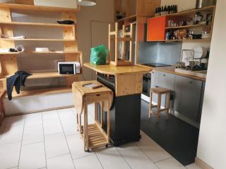 Appartement avec jardin au calme - Montreuil - 4
