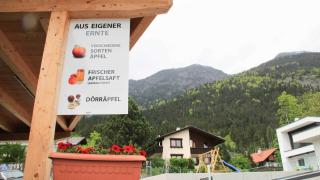 Gästehaus Sonnenheim - Thaur - 3