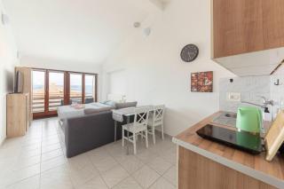 Studio Vesna & Žan - 2