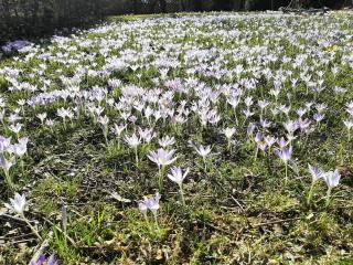 Ferienwohnungen im Griachalgarten - Chiemgau Karte - 7