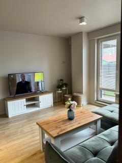Liepu Apartments Druskininkai - Druskininkai - 8