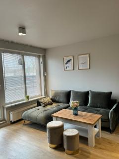 Liepu Apartments Druskininkai - Druskininkai - 0