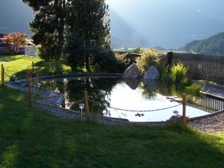 Gästehaus Falkenblick - Arzl im Pitztal - 5