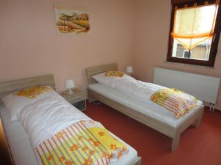 Ferienwohnung Rochlitzer Berg Blick - - 1