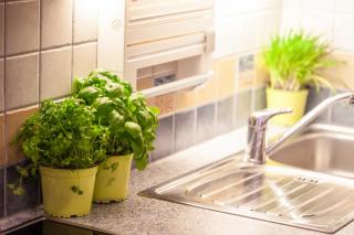Appartement Gimpl - Fusch an der Glocknerstrasse - 2