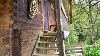 Feldkasten Biohof Lurger - 8