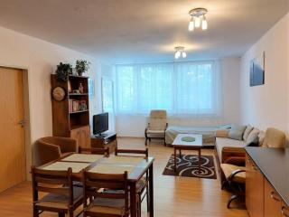 Apartmán s parkovaním priamo na Štrbskom Plese - Štrbské Pleso - 7