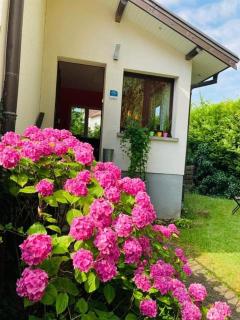 Appartement avec jardin centre ville de Belfort - Belfort - 5