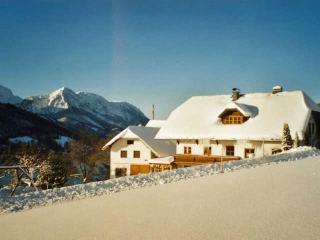 Minabauer - Altmünster - 9