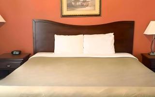 Rodeway Inn Manchester I-90 - 9