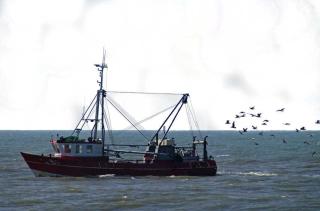 Ferienwohnung Deichschatz - Cuxhaven - 3