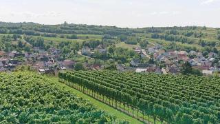 Ferien im Heckenland - Kenzingen - 8