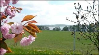 Ferienwohnung Mäckelborg am schönen Woblitzsee - 0