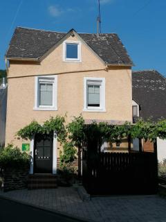 Moselfrische - Zell an der Mosel - 0