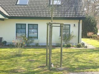 Ferienwohnung Dück - Neu Pastitz - 1