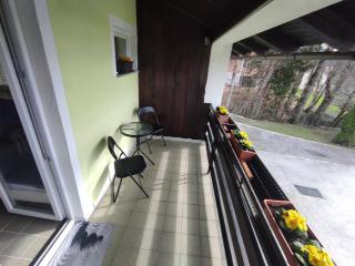 APARTMA ZADNIKAR - Preddvor - 2