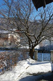 Haus Sonnblick - Schruns - 8