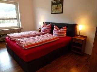 Ferienwohnung-Wilmes - Winterberg - 1