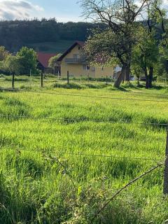 Ferienwohnung Pusteblume - Affoldern - 1