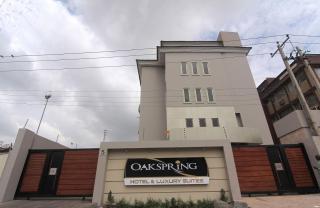 Oakspring Hotel and Luxury Suites - Lagos - 8