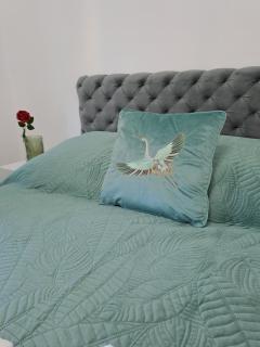 Phoenix Apartment - Vrnjačka Banja - 8