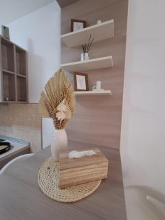 Phoenix Apartment - Vrnjačka Banja - 2