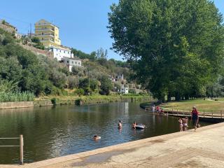Mira D'Ouro Sertã - Sertã - 5