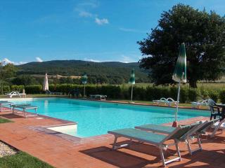 Apartment in Casole d'Elsa - Toskana 24073 - Casole d'Elsa - 7