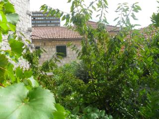 Apartments Villa Dube - 5
