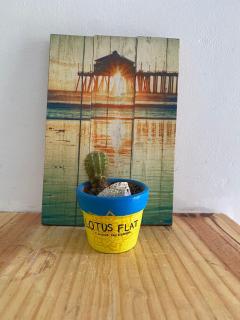 Lotus Flat - Canoa Quebrada - Canoa Quebrada - 0