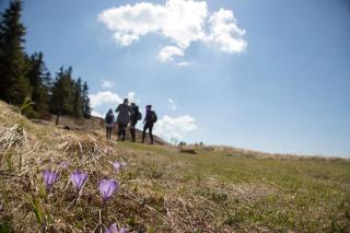 Lake Peak Apartments, Ribniško Pohorje - 2
