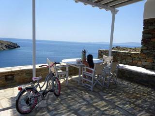 Sun Blooming Villa in Tinos island - Agios Romanos - 6