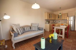 Sun Blooming Villa in Tinos island - Agios Romanos - 2