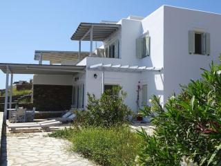 Sun Blooming Villa in Tinos island - Agios Romanos - 9