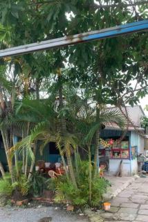 Casa Fior di Loto - on the Lotus Pond Island - Ho Chi Minh City - 8