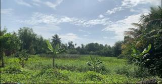 Casa Fior di Loto - on the Lotus Pond Island - Ho Chi Minh City - 4