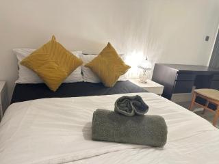 Large Studio With Extra Sofa Bed and private bath plus kitchen Canary Wharf 1 - Londres - 0