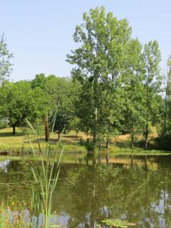 Domaine de la Clauzade (Gite) - 8