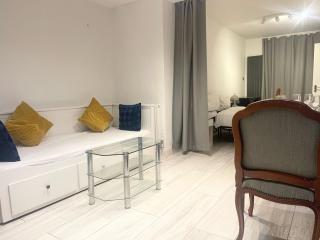 Large Studio With Extra Sofa Bed and private bath plus kitchen Canary Wharf 1 - Londres - 5