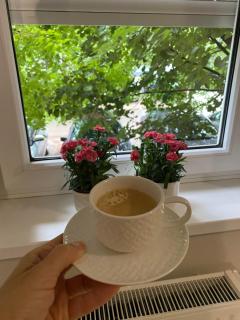 New Cosy Central Studio Grbavica - 2