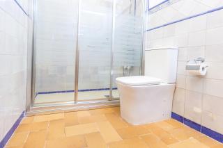 Alohamundi Castilla IV - 3