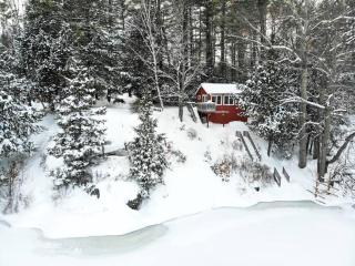 Little Red Wing 50s Lake Cabin - Bradford - 0