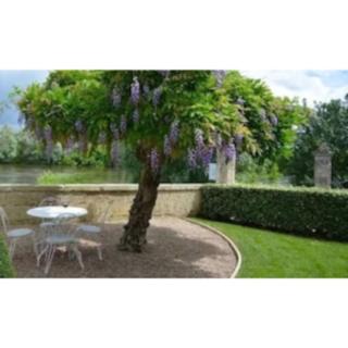 Luxury 7 bed country home near Saint Emilion - 2