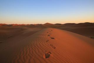 Sahara Berber Camp - Mhamid Discovery Camp - 7