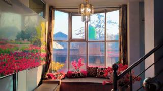 Dream Live Stay Inn - Srinagar - 2